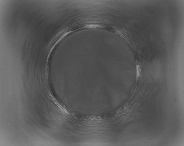 X0000053010243200507221321