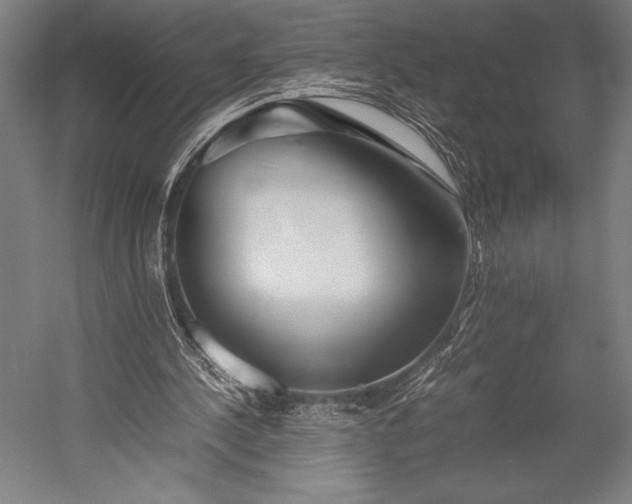 X0000053010244200507221321