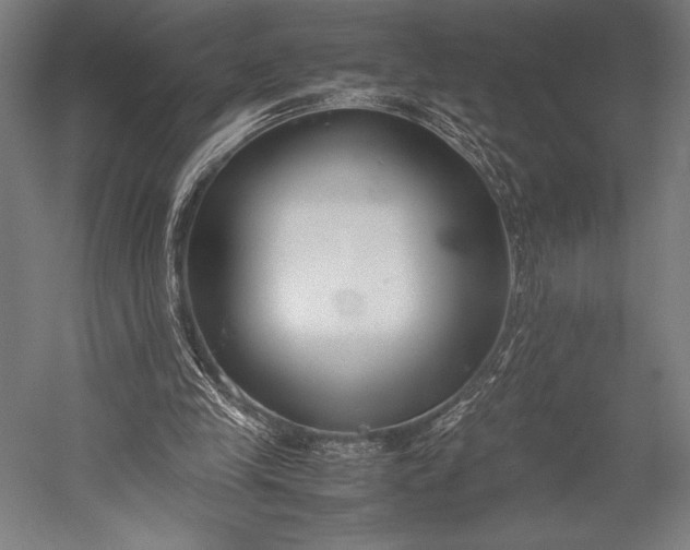 X0000053010245200507221321