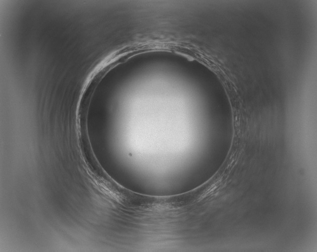 X0000053010246200507221321