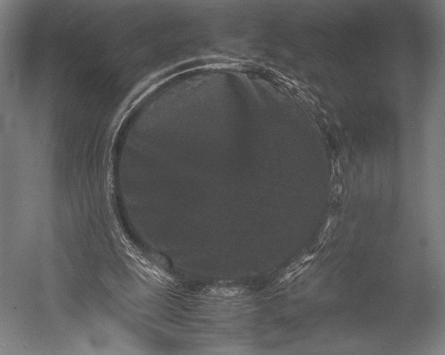 X0000053010247200507221321