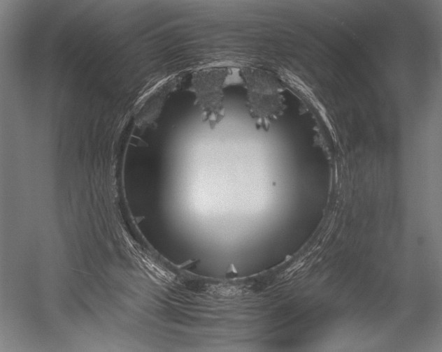 X0000053010249200507221321