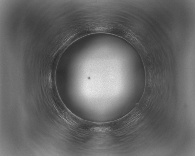 X0000053010251200507221321