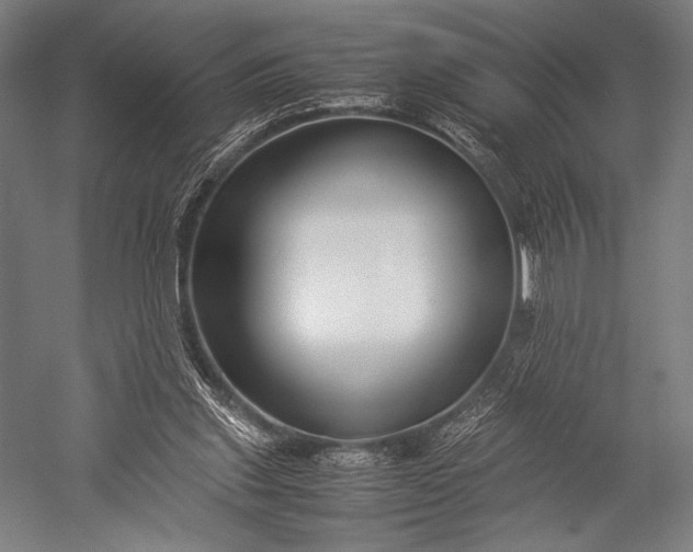 X0000053010253200507221321