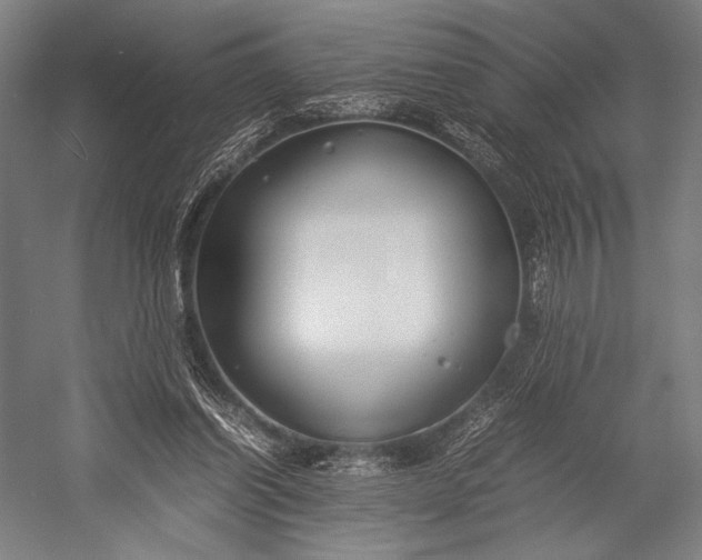 X0000053010254200507221321