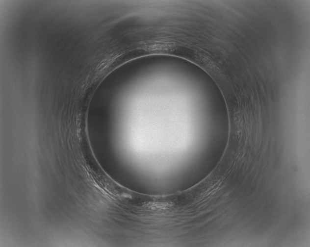 X0000053010255200507221321