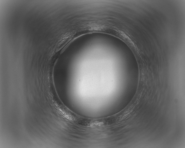 X0000053010257200507221321