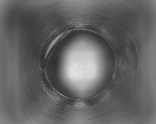 X0000053010262200507221321