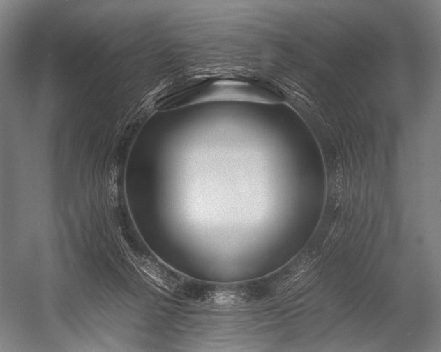 X0000053010264200507221321