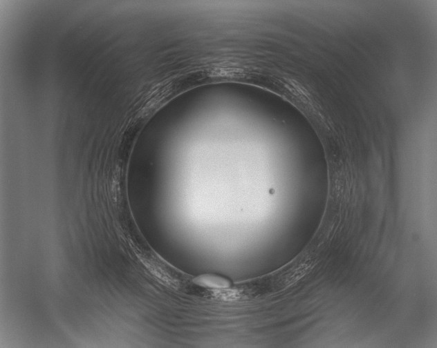 X0000053010265200507221321