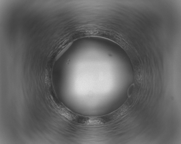 X0000053010270200507221321