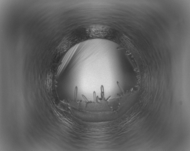 X0000053010271200507221321