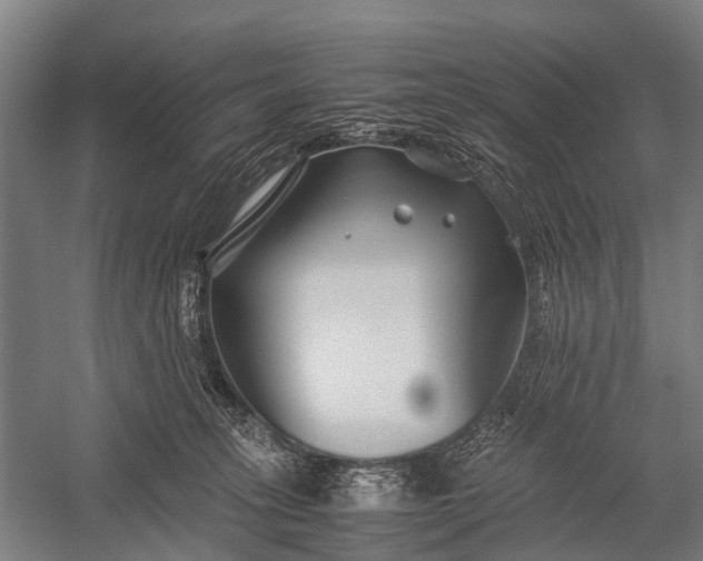 X0000053010275200507221321