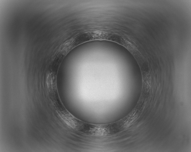 X0000053010276200507221321