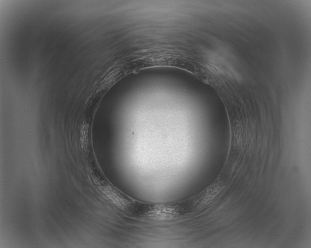 X0000053010278200507221321