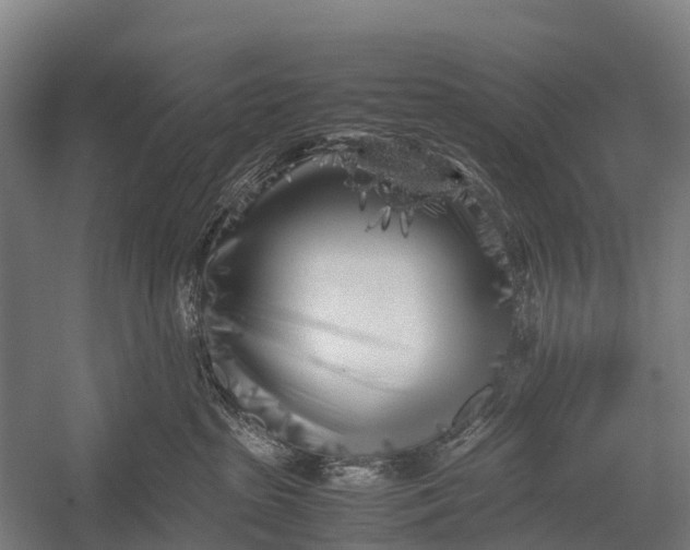 X0000053010285200507221321