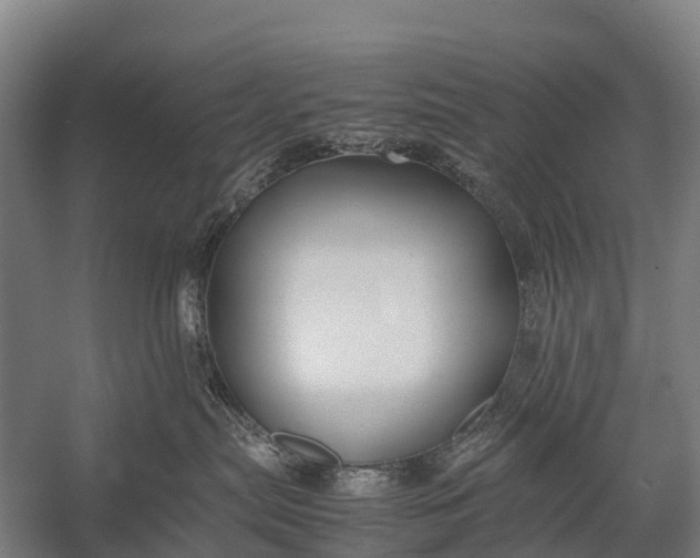 X0000053010287200507221321