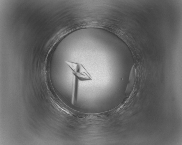 X0000053010290200507221320