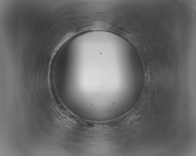 X0000053010292200507221320