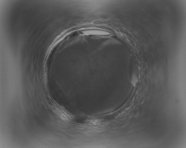 X0000053010295200507221320