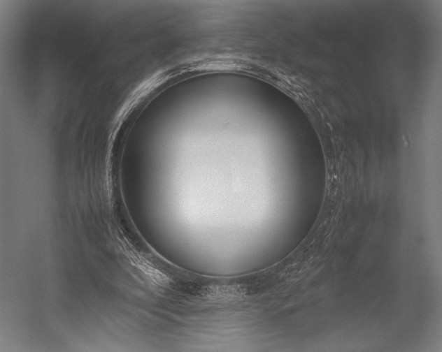 X0000053010296200507221320