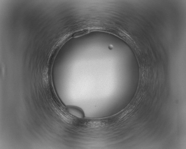 X0000053010298200507221320