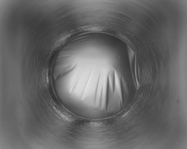 X0000053010302200507221320