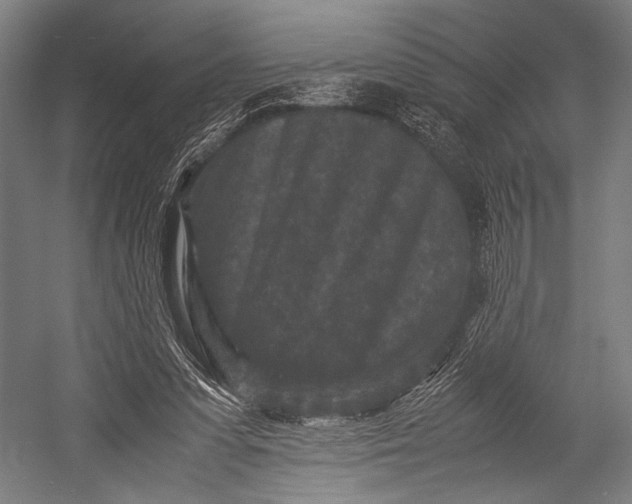 X0000053010303200507221320