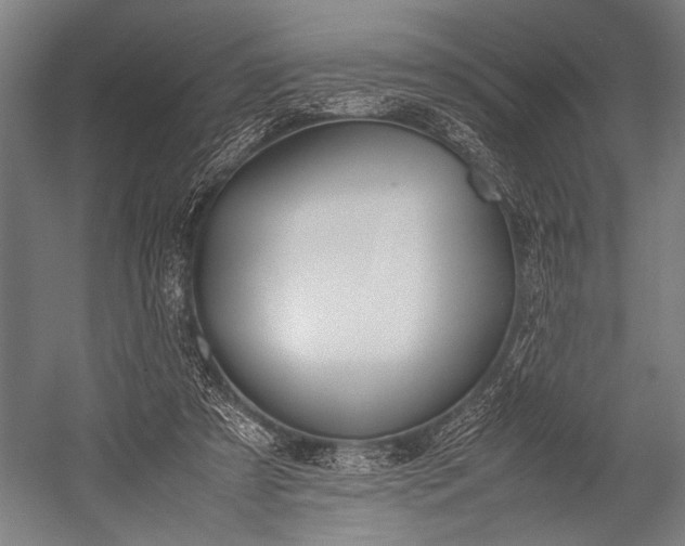 X0000053010305200507221320