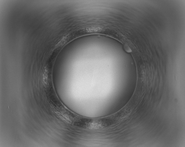 X0000053010308200507221320