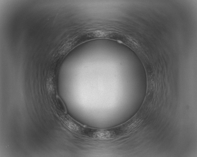 X0000053010317200507221320