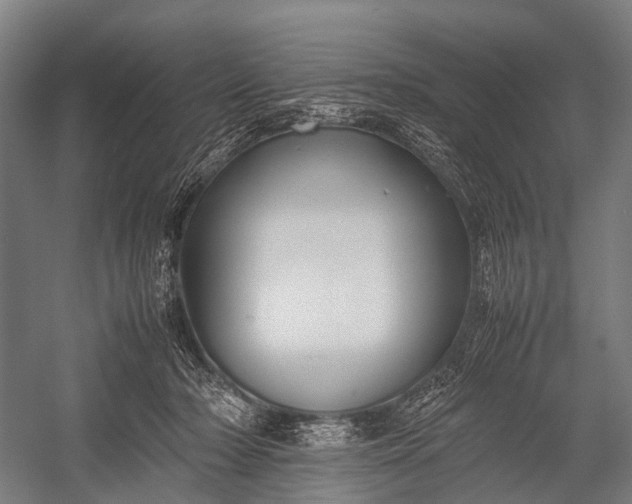 X0000053010318200507221320