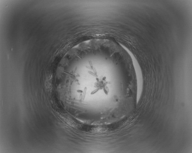 X0000053010319200507221320