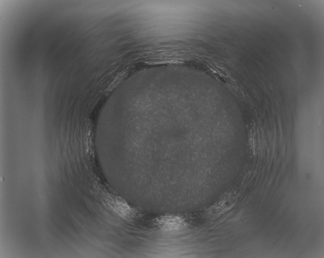 X0000053010322200507221320