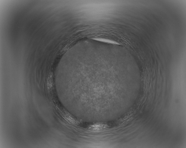 X0000053010323200507221320