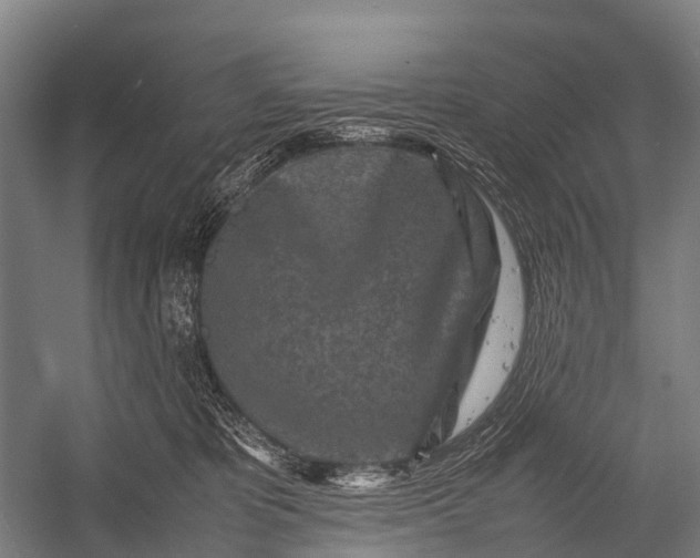 X0000053010325200507221320