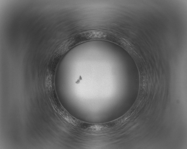 X0000053010326200507221320