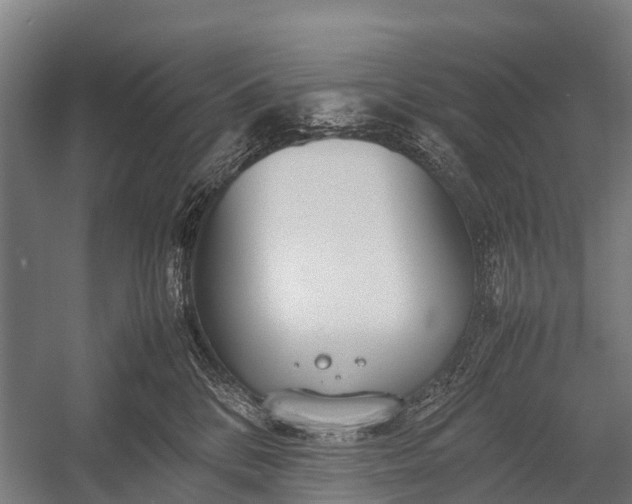 X0000053010328200507221320