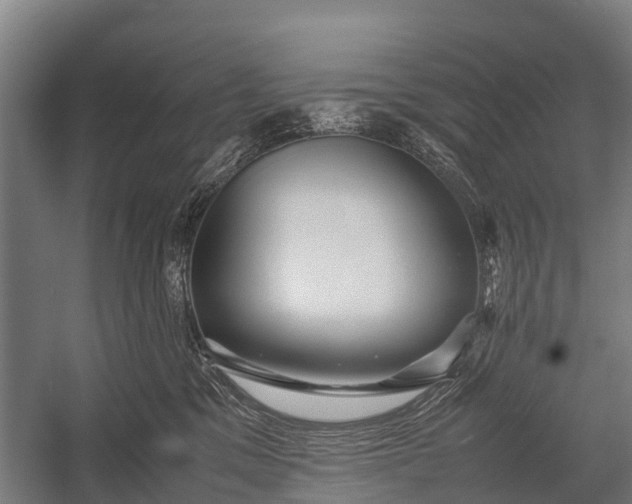 X0000053010329200507221320