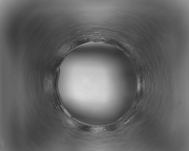 X0000053010333200507221320