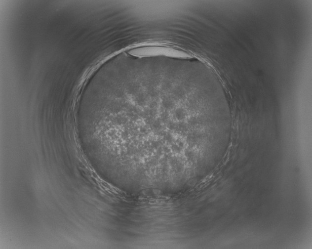 X0000053010337200507221319