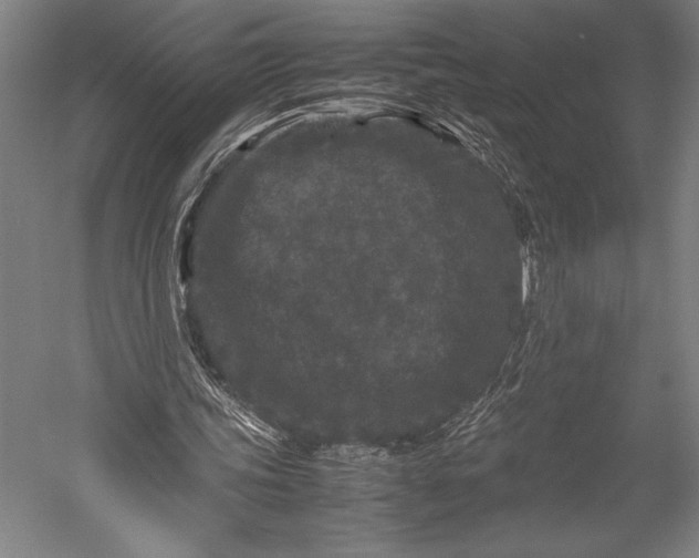 X0000053010339200507221319