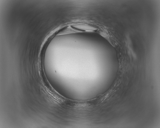 X0000053010342200507221319