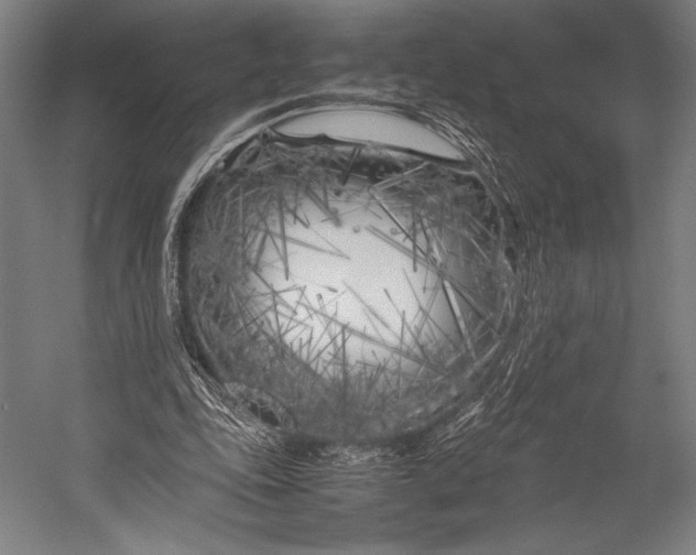 X0000053010343200507221319