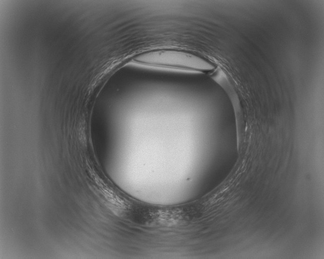 X0000053010345200507221319