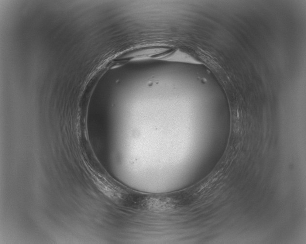 X0000053010346200507221319