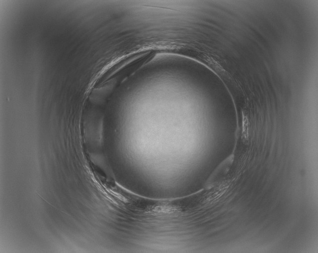 X0000053010348200507221319