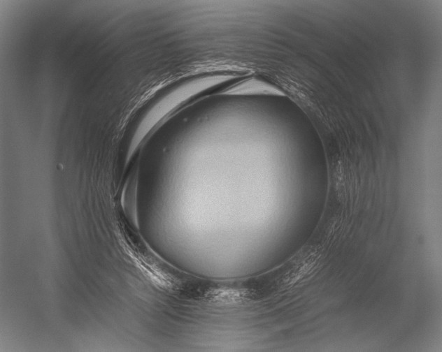 X0000053010352200507221319