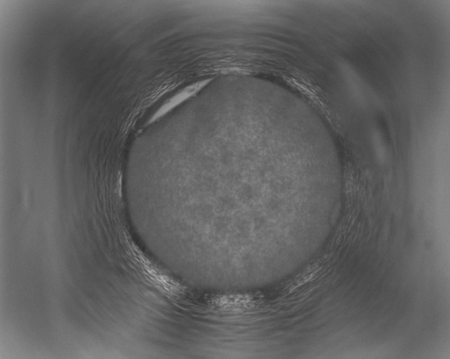 X0000053010353200507221319