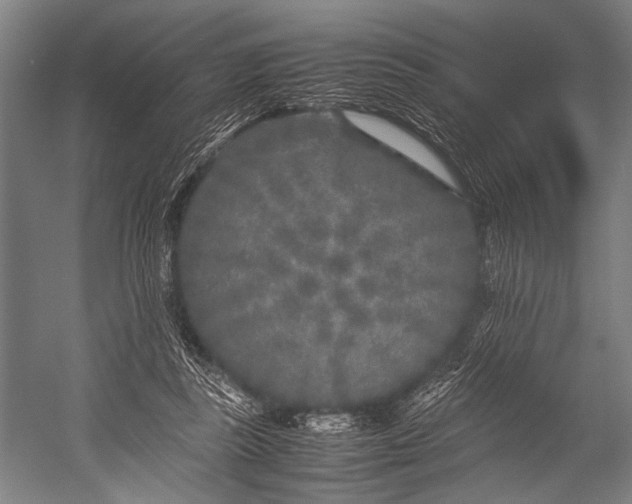 X0000053010355200507221319